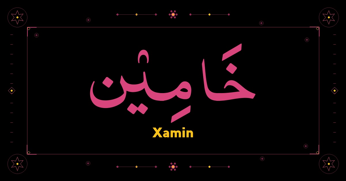 Xamin