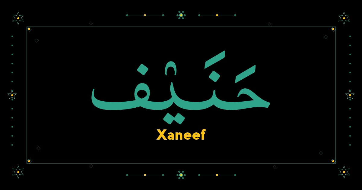 Xaneef