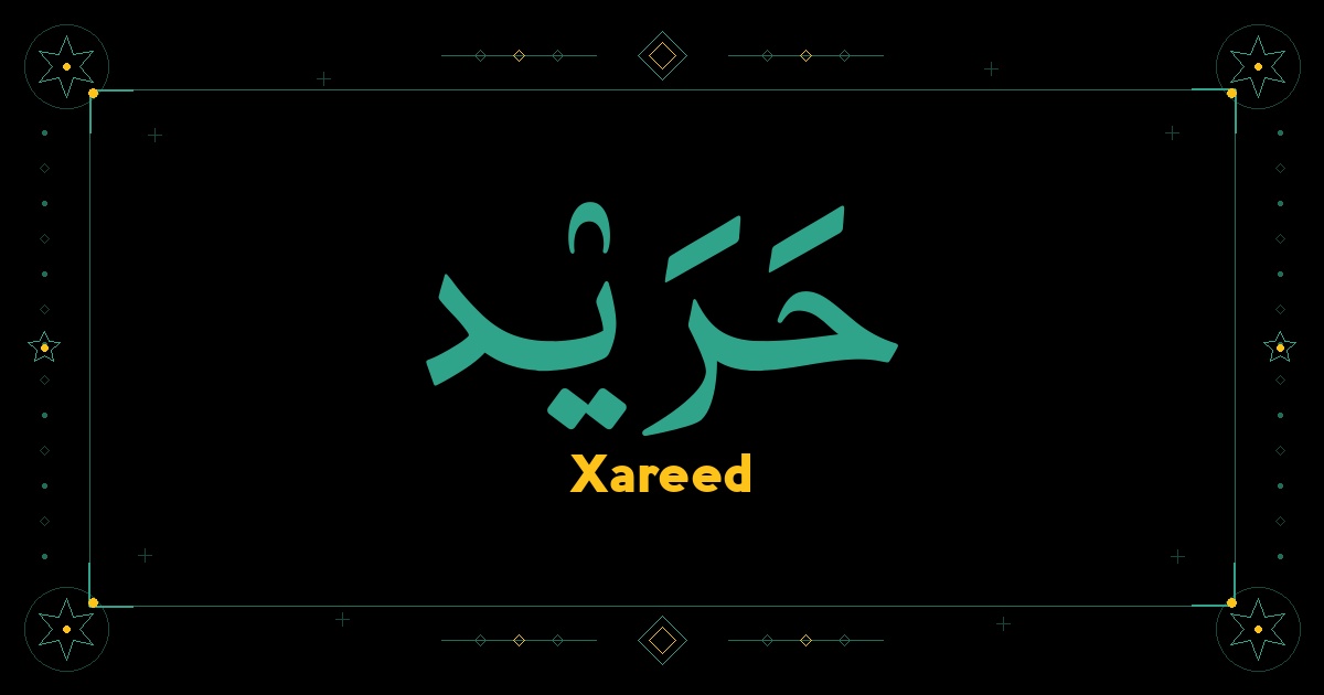 Xareed