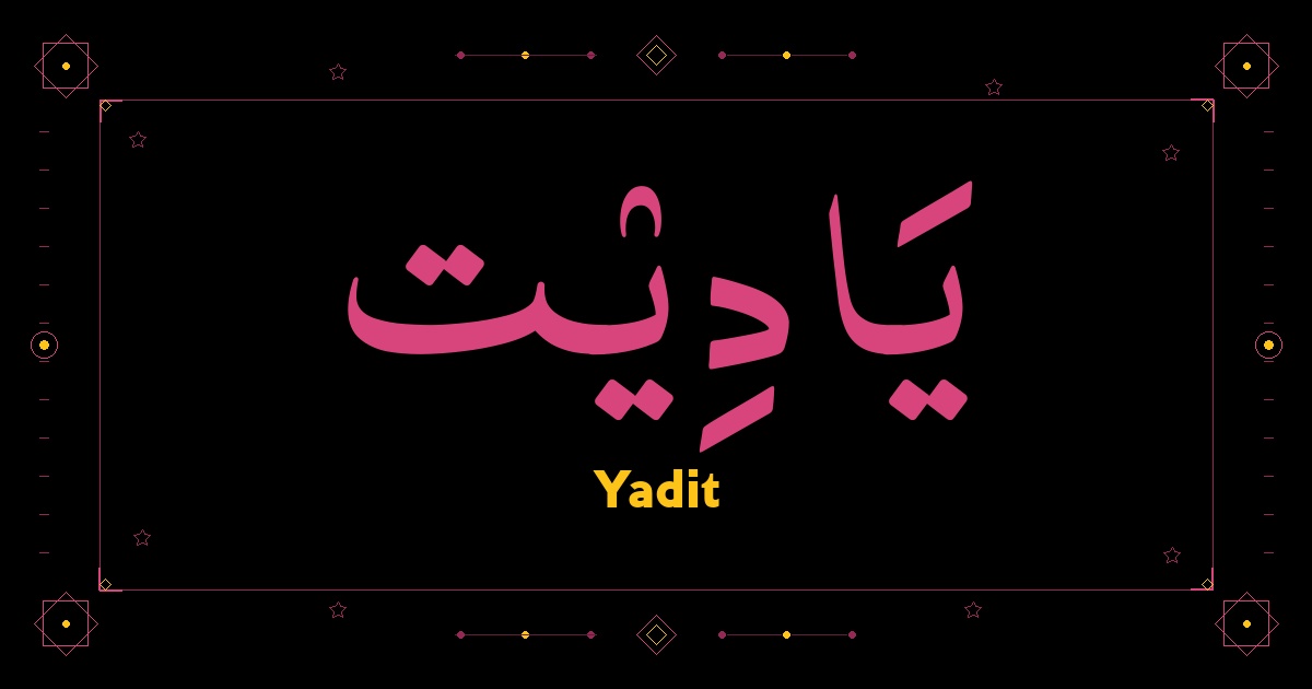 Yadit