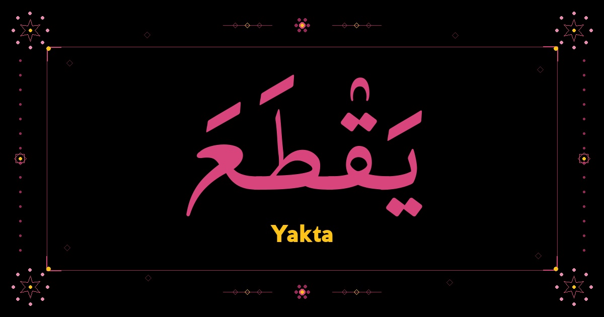Yakta