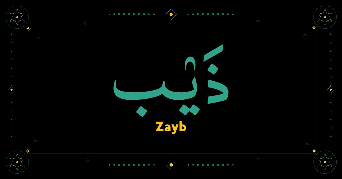 Zayb