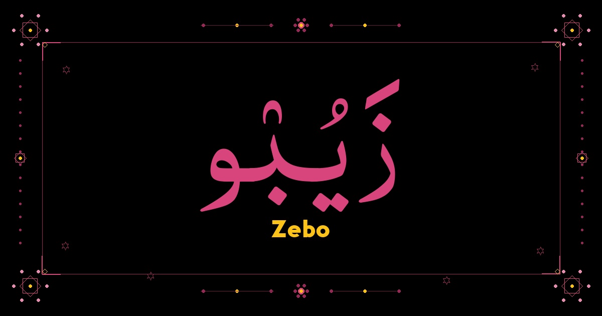 Zebo