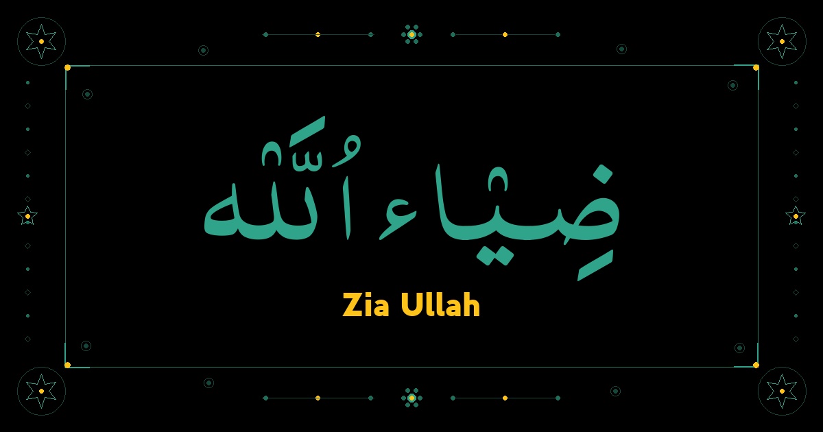 Zia Ullah