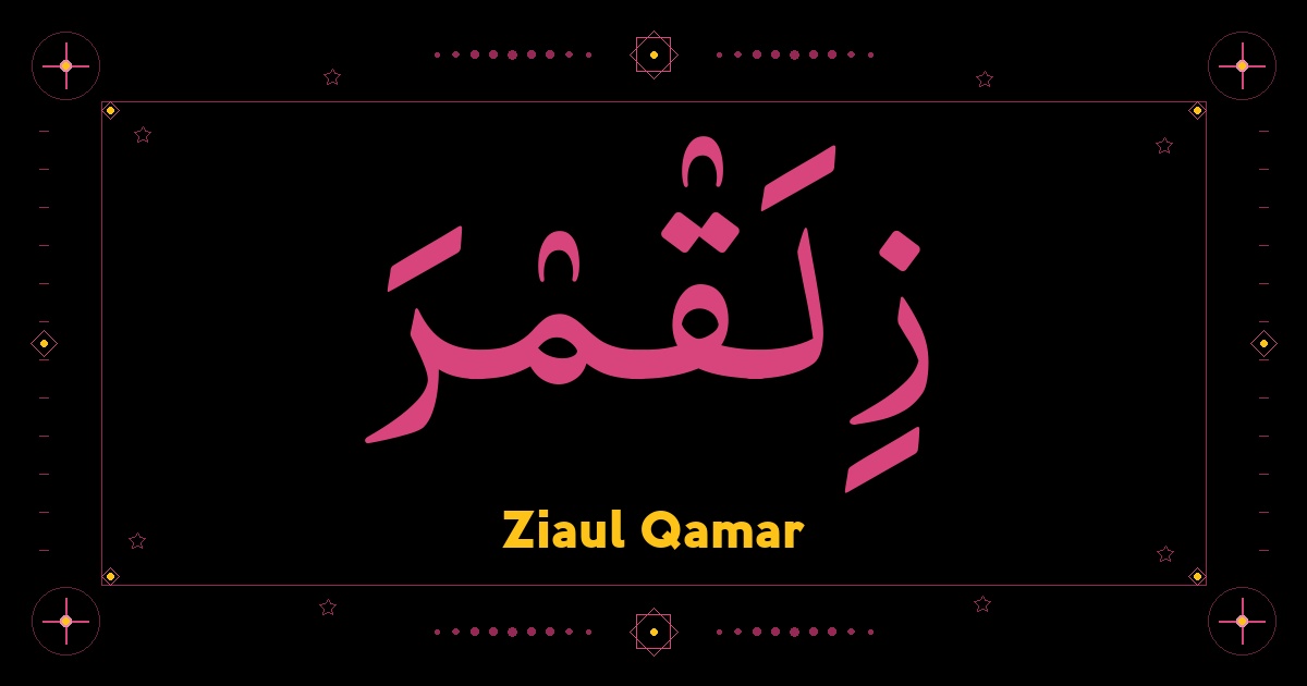 Ziaul Qamar