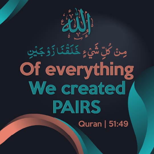 Allah Says About Balance in Creation