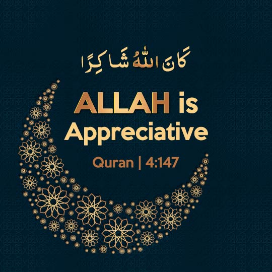 The Quran Says About Gratitude and Faith
