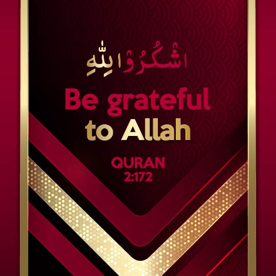 The Quran Says About Gratitude for Provision