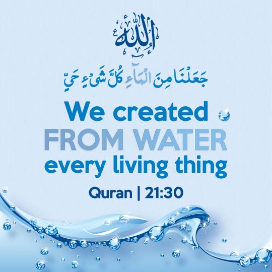 Allah Says About Signs of Creation